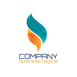 Company 0